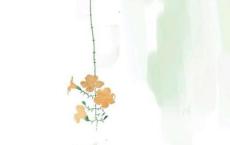 三生三世十里桃花经典台词
