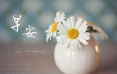 “一”字开头的歇后语大全
