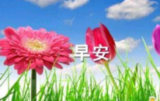 视光中心广告宣传标语