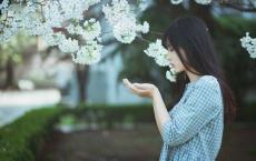 装修公司宣言口号