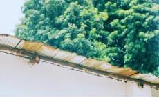 遗愿清单经典台词