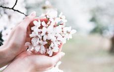 教师的人生格言