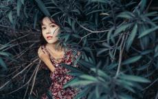 火炬手台词