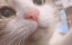 拼车语宣传文字