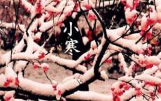 月饼促销语