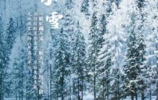幸福额度经典台词