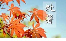 关于/有关月亮的歇后语