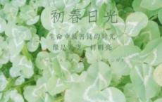 唐代诗人马戴五言律诗《灞上秋居》赏析