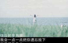 love电影经典台词