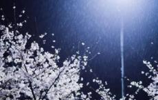 教师职业道德修养格言警句