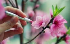 粮油批发配送公司口号