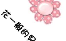 菜市场●集市●“圩