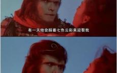 关于猪八戒的经典搞笑歇后语