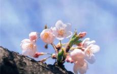O2O本地服务平台宣传口号