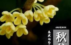 汽车座垫面料宣传标语