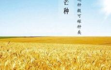 关于狮子的谚语、民谚、俗语