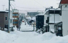 《田园诗情》教学设计通用13篇-散文精选