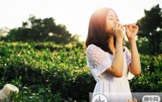 白居易《赋得古原草送别》的诗全文翻译及赏析-散文精选