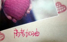 大寒梅花诗句（精选110句）-散文精选
