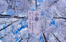 王维《送别》古诗赏析详解-散文精选