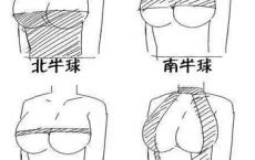 春节对应的古诗-散文精选