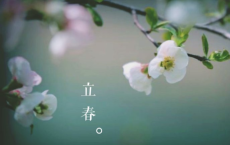 最新有关端午节的古诗-散文精选