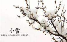 清明节的经典古诗（精选60首）-散文精选
