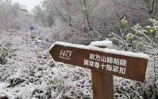 有关春节团圆的古诗句-散文精选
