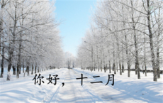 【荐】赞美母亲的诗句-散文精选