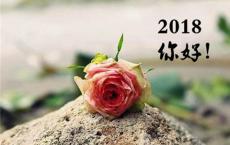 【金缕衣】原文注释、翻译赏析_古诗大全-散文精选