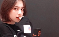 赞美梅花高洁的诗句（精选165句）-散文精选