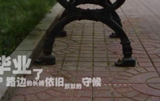 《田园诗情》四年级上册语文教案-散文精选