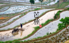 带山的诗句（精选50句）-散文精选
