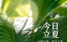 田园诗情说课稿4篇-散文精选
