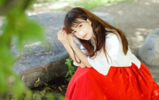 【襄阳怀古】原文注释、翻译赏析_古诗大全-散文精选