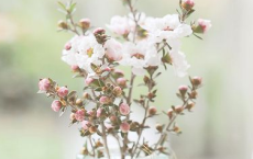 赞美老师的诗句名言-散文精选