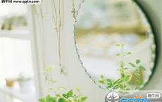 关于春节的古诗（精选30首）-散文精选