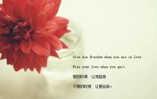 赞美元宵节的古诗-散文精选