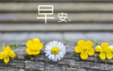 【思乡的古诗词】原文注释、翻译赏析_古诗大全-散文精选