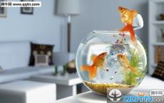 古诗中励志的句子-散文精选