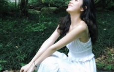 【清平乐】原文注释、翻译赏析_古诗大全-散文精选