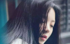 描写思念家乡的诗句（精选100句）-散文精选