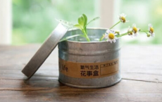 带有春天的诗句-散文精选