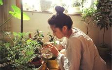 乌程酒广告语：好酒的对联