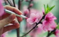 扭秧歌作文