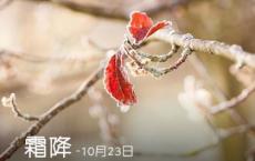 教师节感恩老师的格言短信