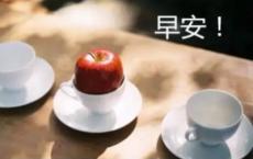 夸夸我的学校作文