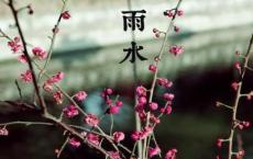漫画老师作文