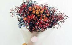 两节宣传标语