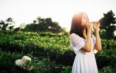 致青春经典台词;青春是场远行 回不去了